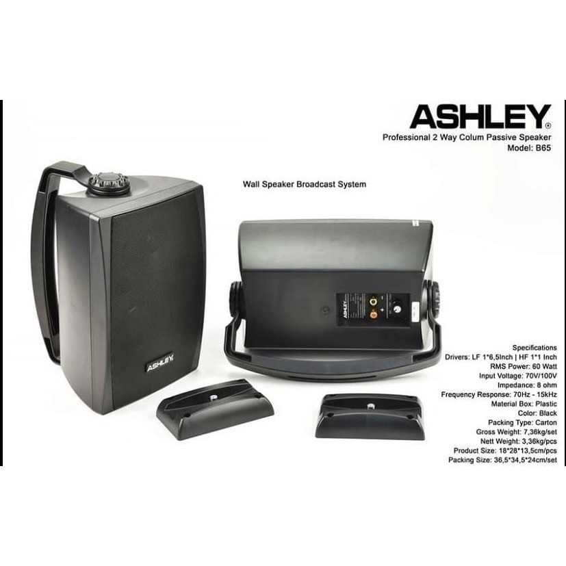 Speaker Pasif Ashley Colum Wall Speaker B65 hitam