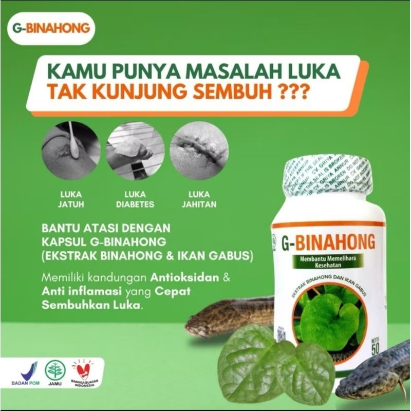 Jaminan 100% ASLI G-Binahong Extra Plus Ikan gabus g-binahong kapsul obat sesar atau luka,obat cina 