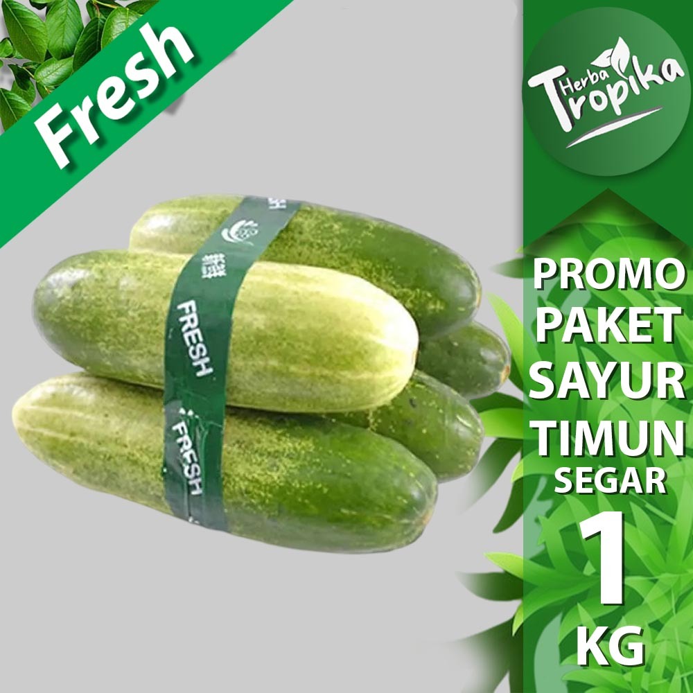 

Promo Paket Sayur Timun Bonteng Fresh 1 kg termurah toko herba tropika
