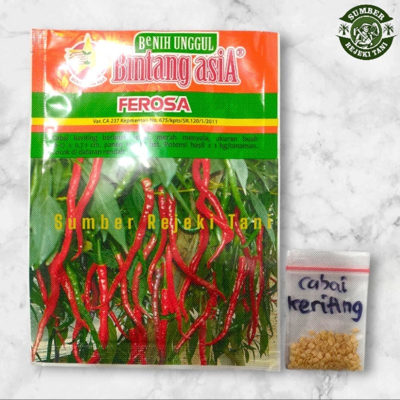 Benih cabe kriting  ferosa repack