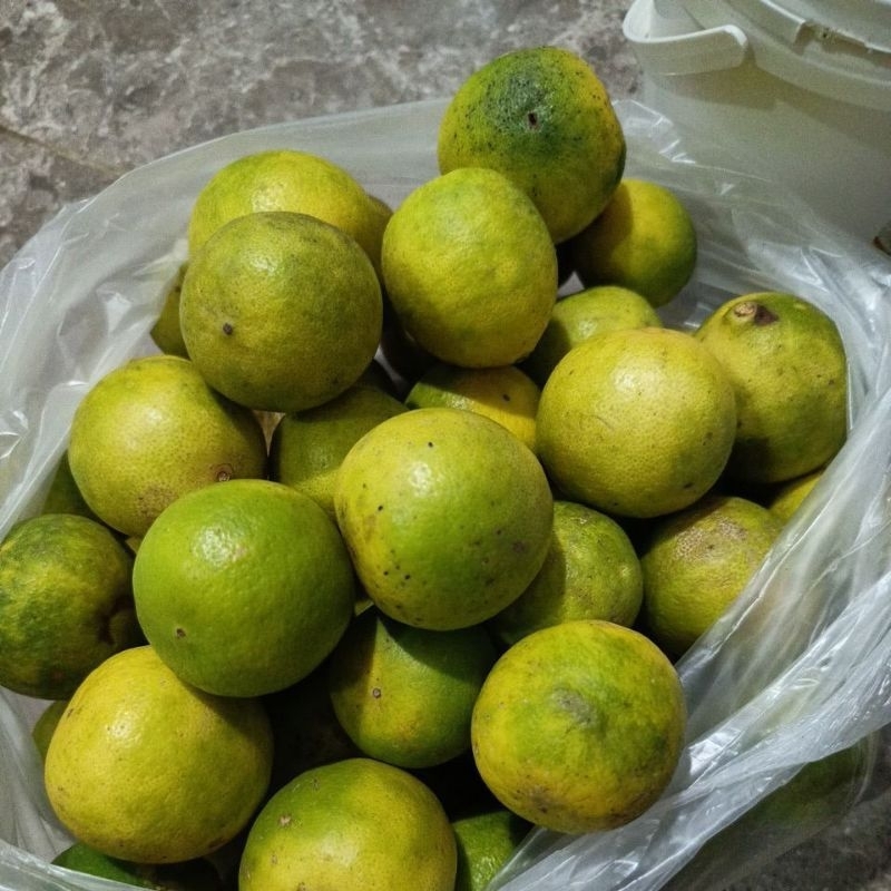 

Jeruk Nipis 1 Kg Warna Kuning