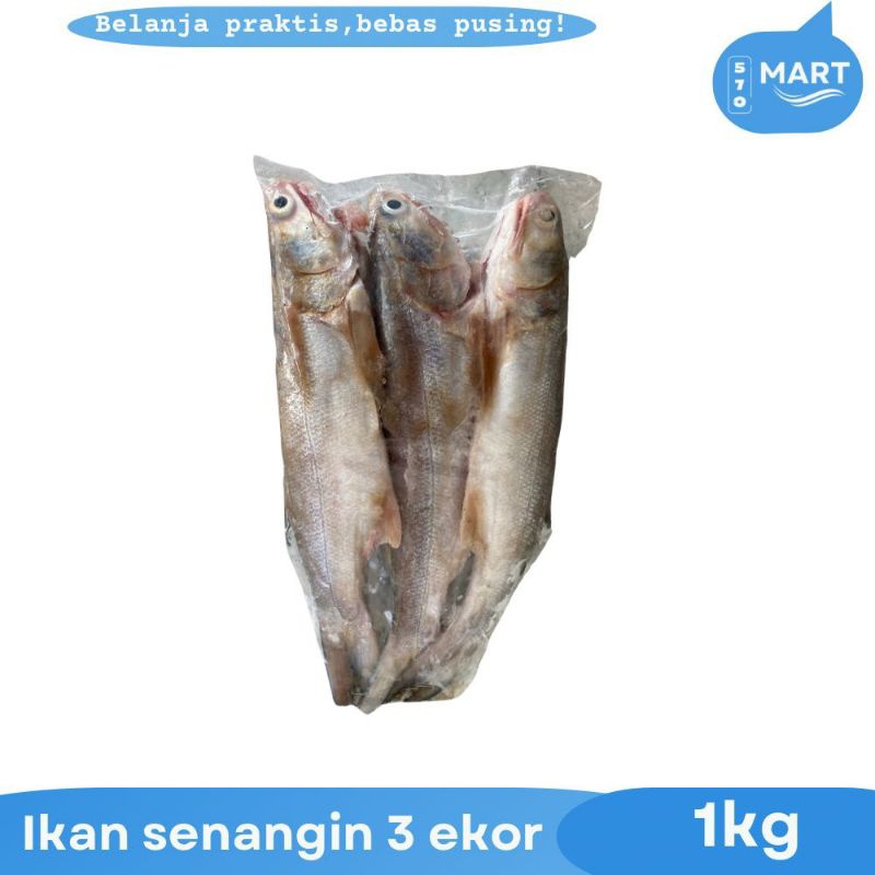 

ikan senangin isi 3 segar beku 1kg