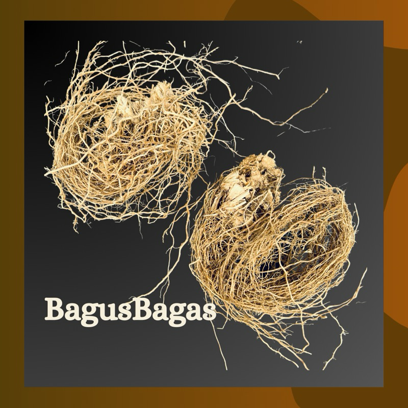

Akar Wangi 50g Bagus Bagas 50 g tanpa Bonggol Rumput Vetiver Akar Wangi Pewangi Alami Super Premium