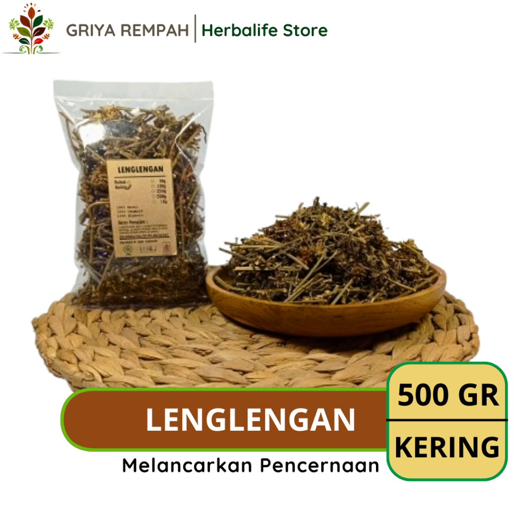 

LENGLENGAN KERING 500 GRAM Merdinah Rempah Herbal Alami untuk Kesehatan & Ramuan Jamu Tradisional Leucas lavandulifolia