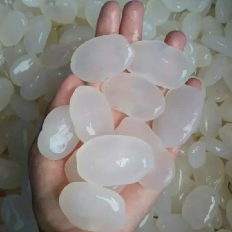 

Kolang Kaling Segar Tanpa Bahan Pengawet 1Kg bersih