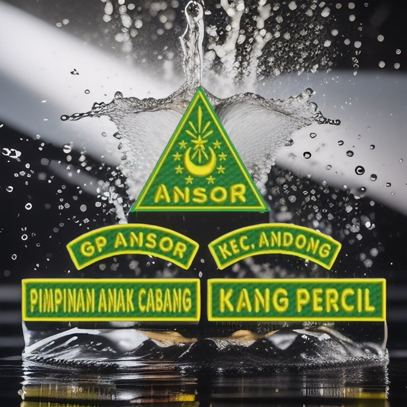 BED ANSOR, BADGE ANSOR, LOGO ANSOR