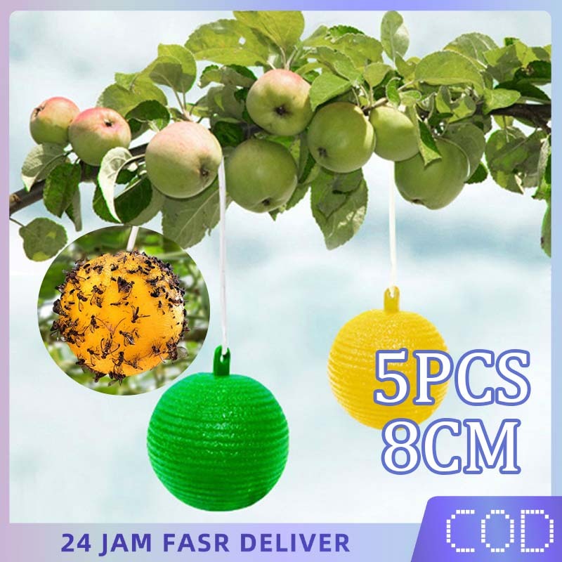 5pcs Lalat Buah Perangkap Bulat Perangkap Lalat Buah