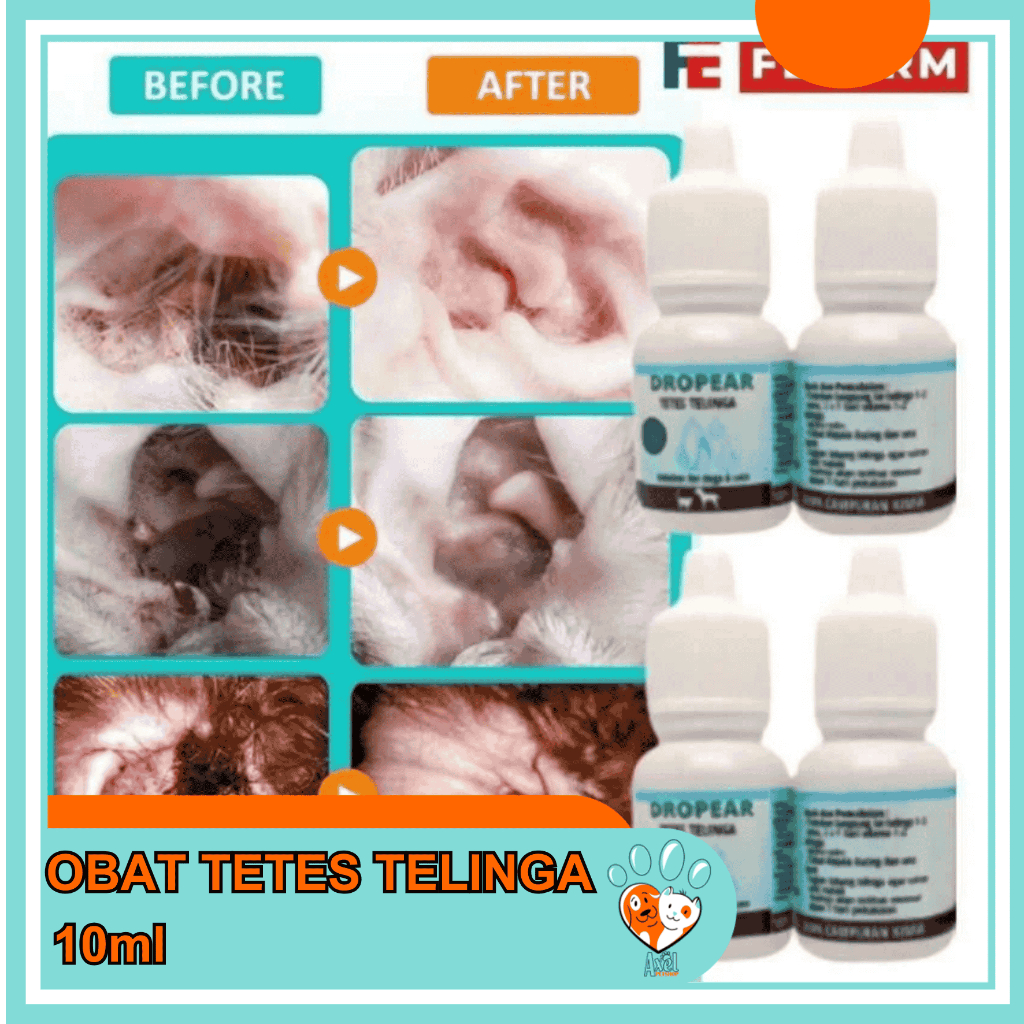 OBAT TETES TELINGA KUCING ANJING DROPAER / OBAT RADANG TELINGA KUCING CONGEK BAU AXEL PETSHOP