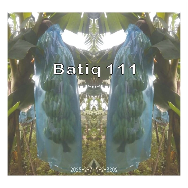 Plastik Pisang , Plastik Pembungkus Buah , Plastik Brongsong