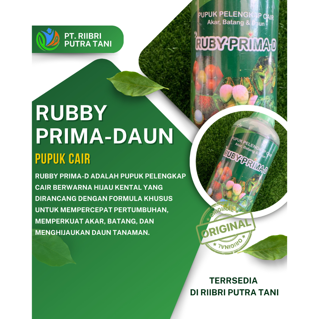 RUBBY PRIMA Daun dan Buah pupuk cair