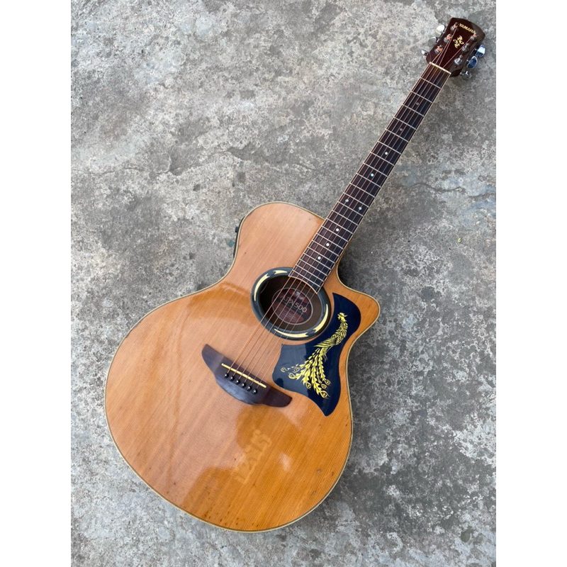 Gitar Akustik APX500 NT Original Second