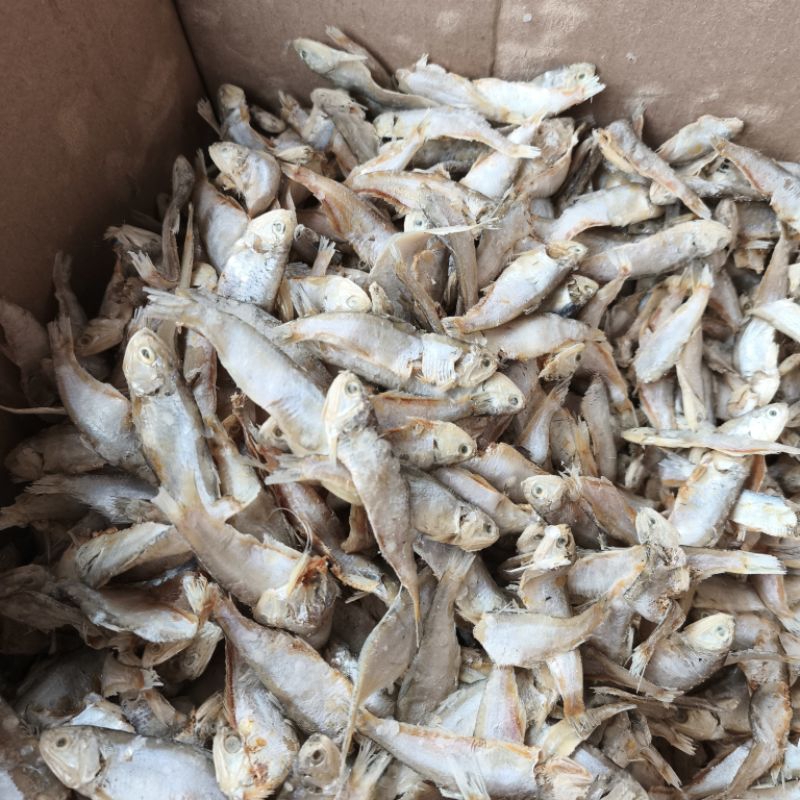 

IKAN GORENGAN LEMPUK/IKAN PUTIHAN ASIN