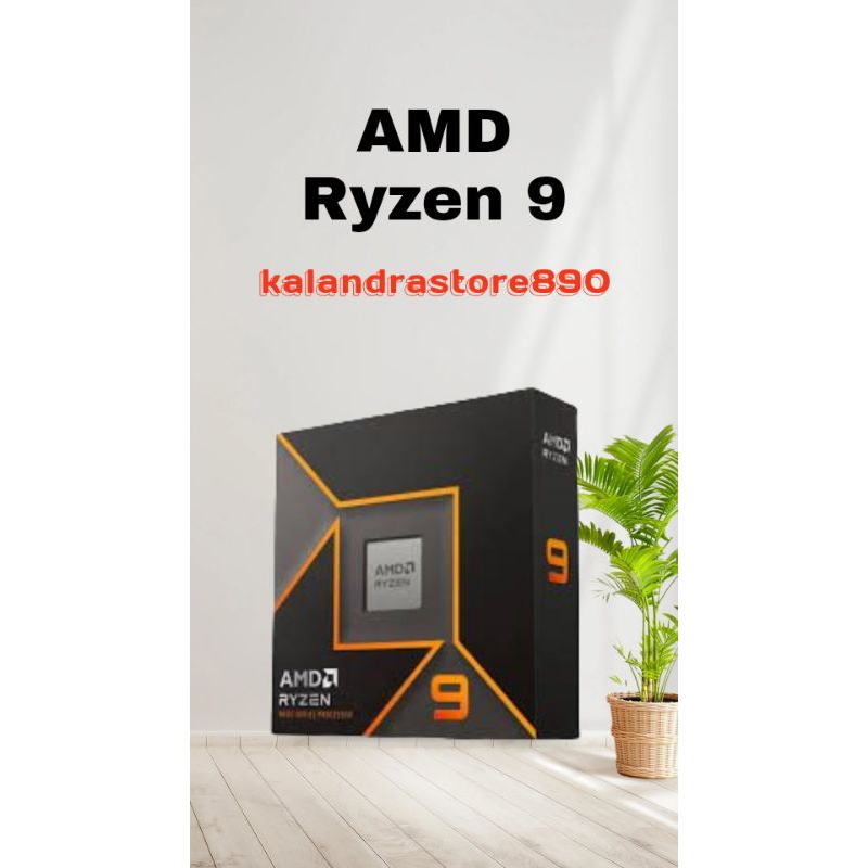 AMD Ryzen 9 9900X