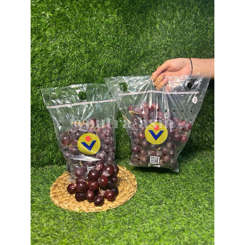 

Anggur Red Peru Seeded ( Buy 1kg Free 1kg )
