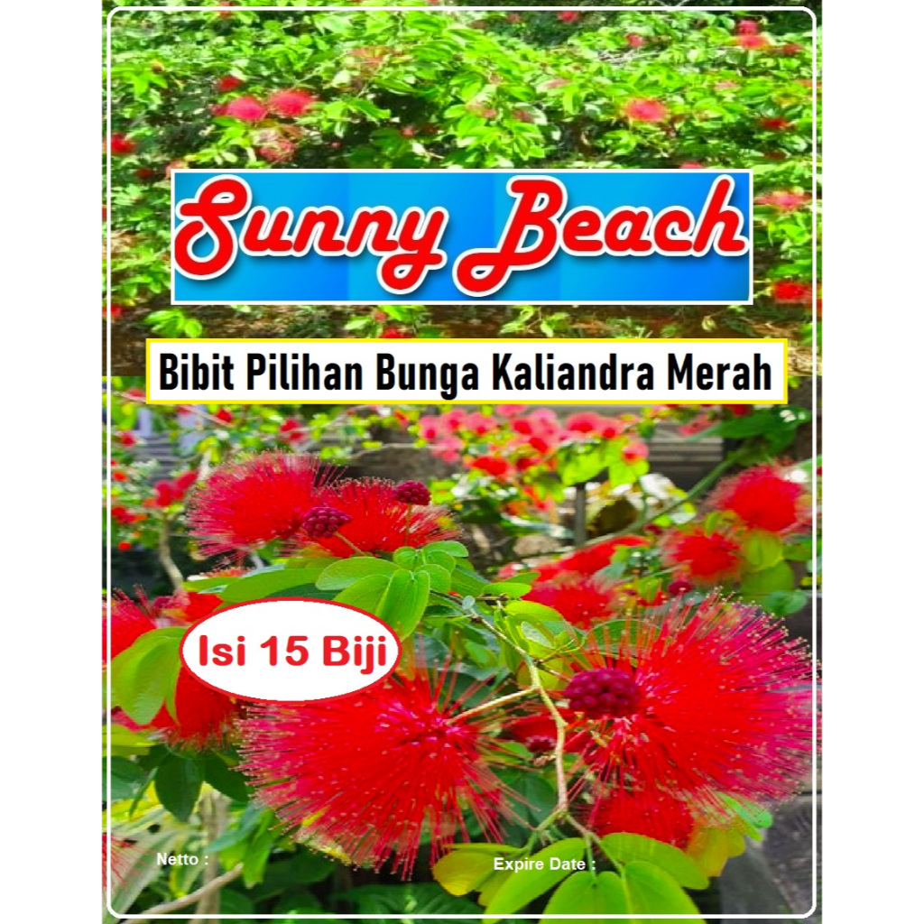 Bibit Pilihan Bunga Kaliandra Merah | Biji Bibit Bunga Kaliandra Merah
