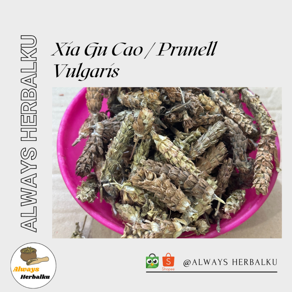 

Xia Gu Cao / Prunella Vulgaris - 250gr