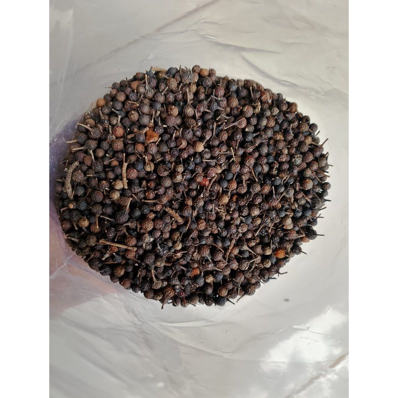 

kemukus kering asli