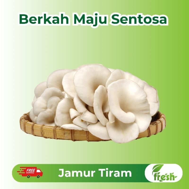 

[INSTANT] Jamur Tiram Fresh 250gr,500gr,1kg