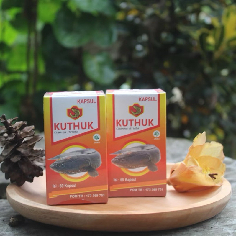 Kapsul Kuthuk Kapsul Ikan Gabus Channa Striata Premium