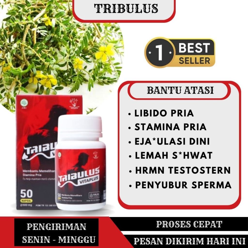 Kapsul Tribulus Vitaplus Meningkatkan Hormon Testosteron Testoteron 50 Kapsul Bpom