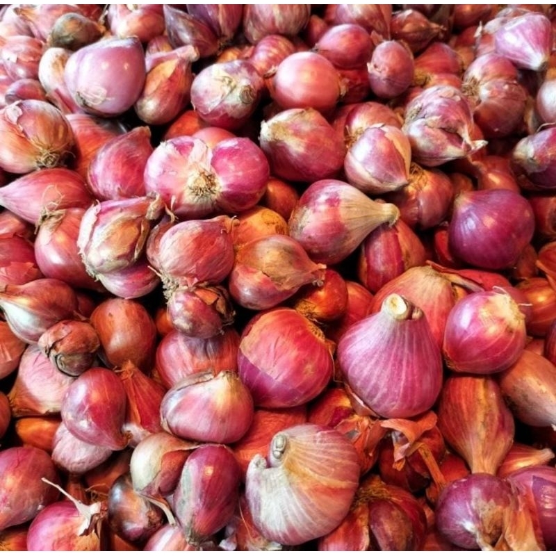 

bawang merah