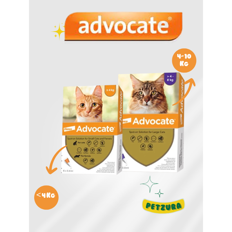 ADVOCATE Cat Elanco Obat Kutu Kucing Advocate