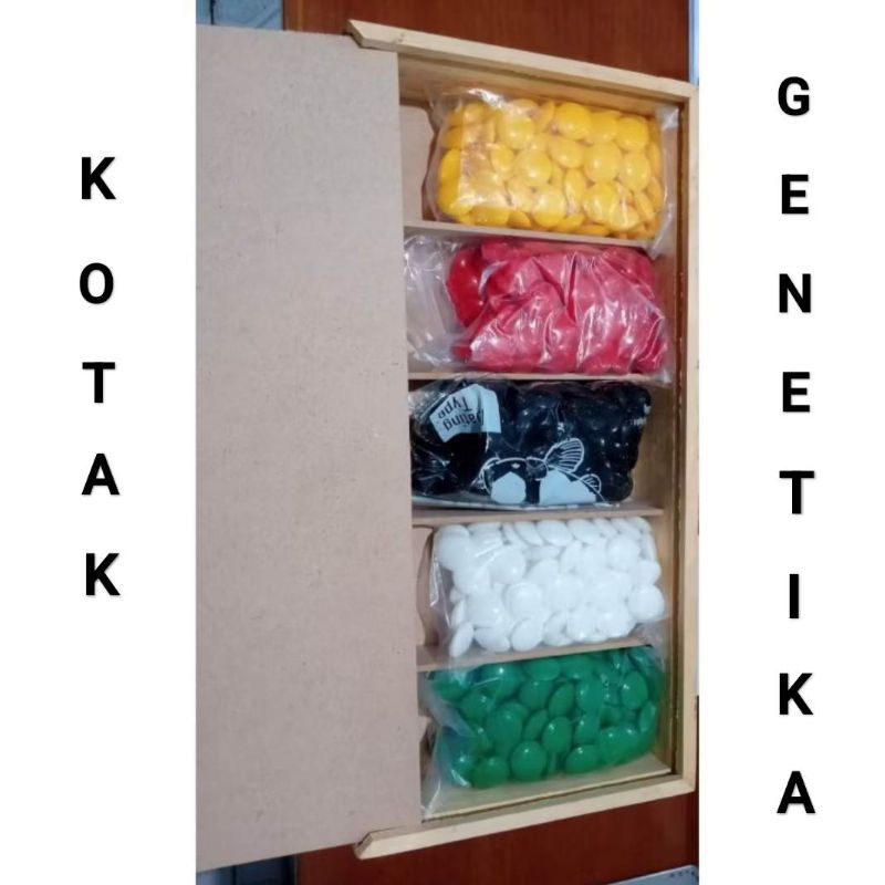 

Kotak Kancing Genetika 5 Warna Untuk Praktikum Sekolah