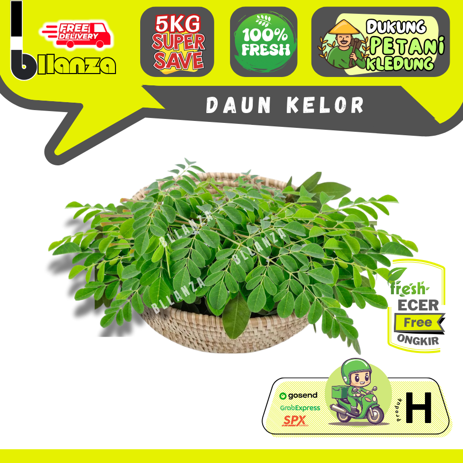 

Bllanza | Daun Kelor (Selalu Ready) — Sahabat Makan Sayur ECER (H)