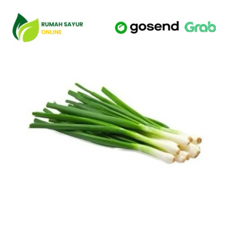 

Daun Bawang Segar 100gr - 1kg | Rumah Sayur Online