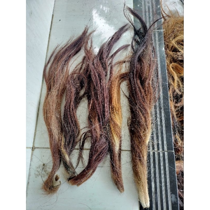 rambut ekor sapi/ekor sapi murah/rambut sapi murah