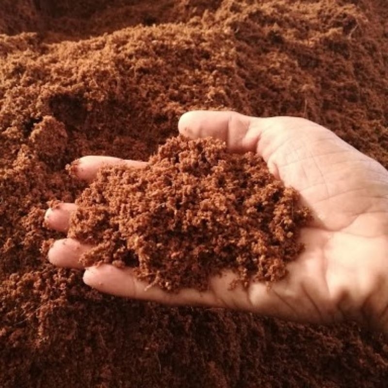 cocopeat media tanam semai 1 karung