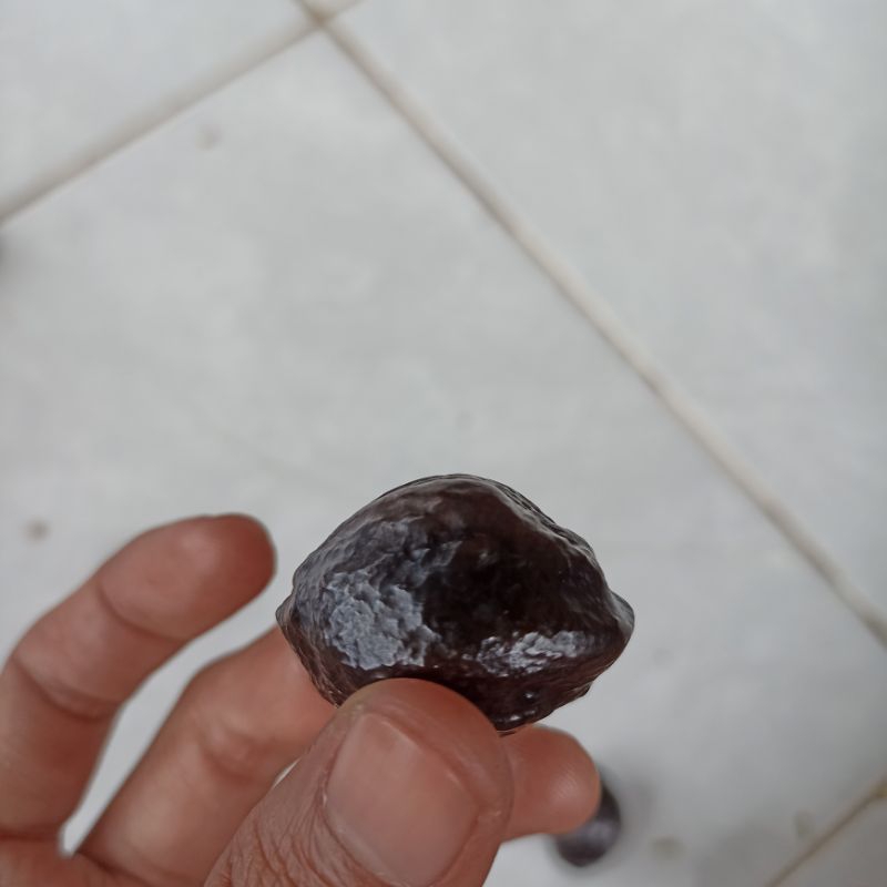 Paket Kojo Muncang Adu Milik Pribadi