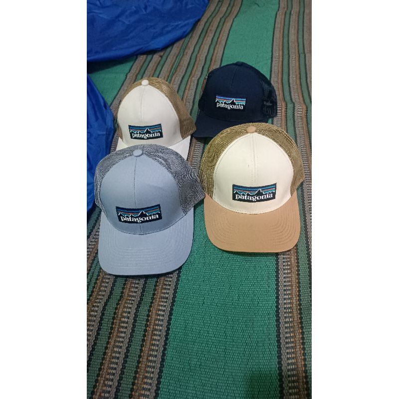Patagonia Trucker hat