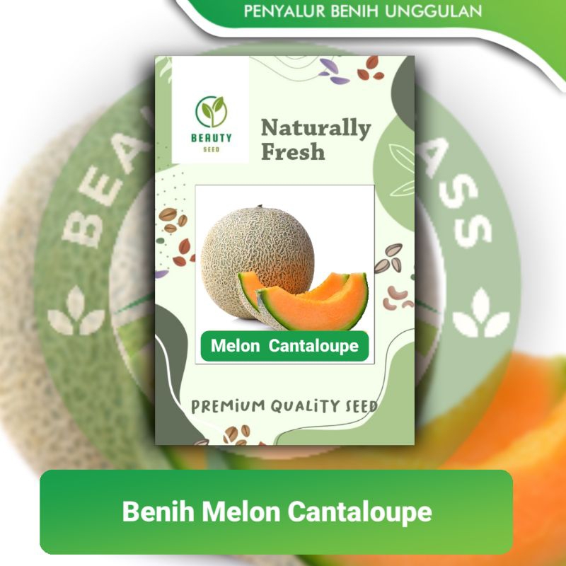 30 Benih Biji Melon - Cantaloupe Melon Seed