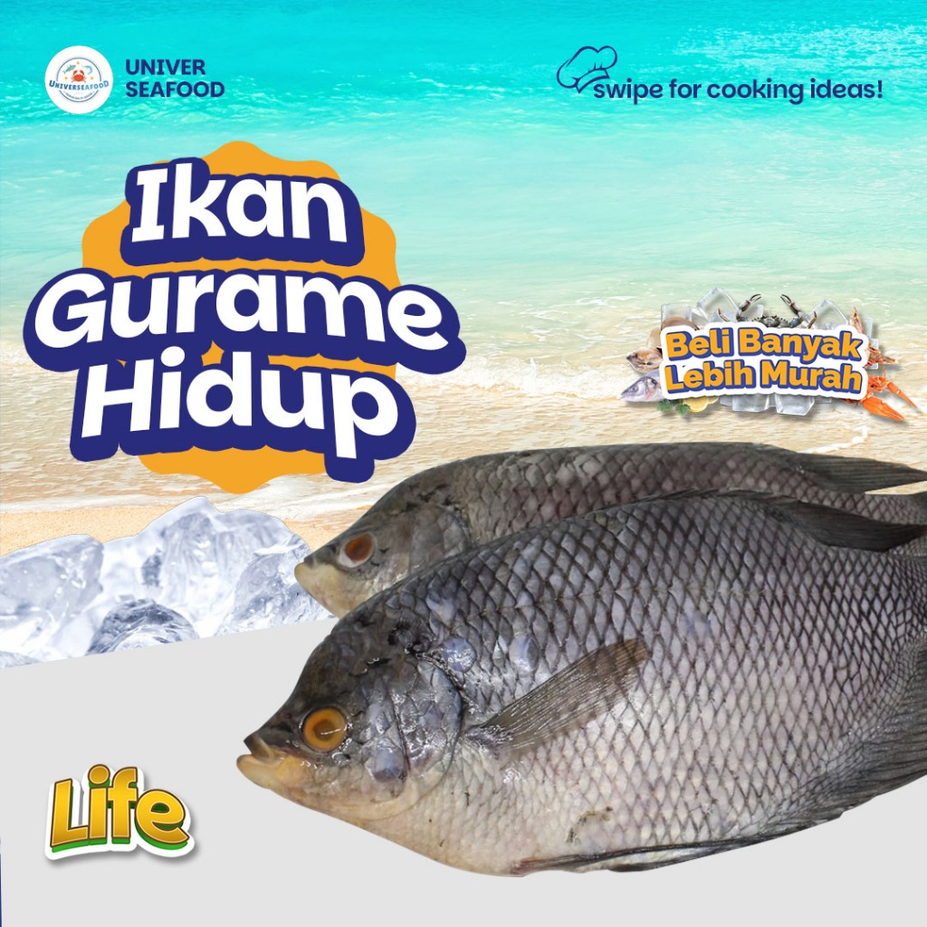 

Ikan Gurame Hidup 1 Kg