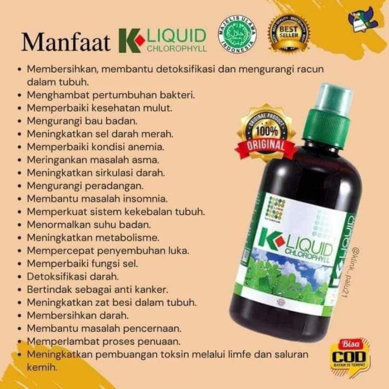 KLOROFIL K LINK ( K - LIQUID CHLOROPHYLL ) |  MINUMAN BERNUTRISI TINGGI (1 SENDOK MAKAN KLOROFIL = 1