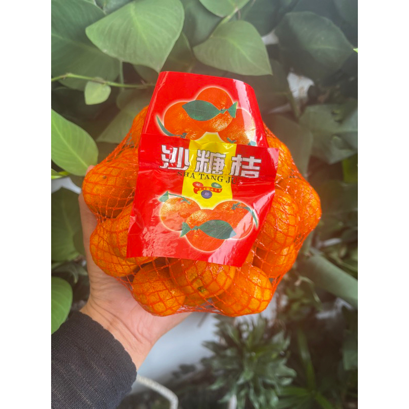 

Jeruk Shantang Santang