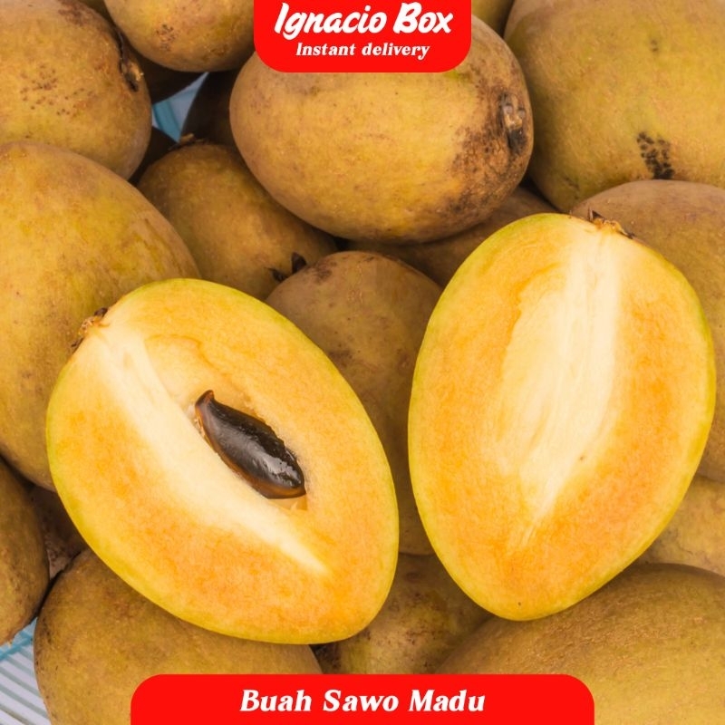 

Buah Sawo Madu Jumbo 1Kg IgnacioBox