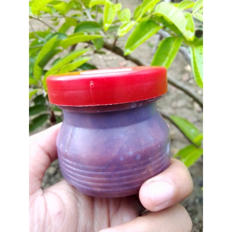 Petis ikan asli 125 gr/petis ikan/petis ikan asli/petis Madura/petis Jawa Timur