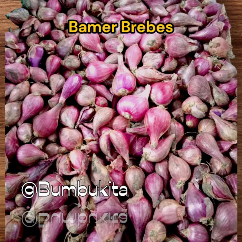 

Bawang Merah Brebes | Ukuran Sedang - Besar | 1 kg, 500 gr, 250 gr