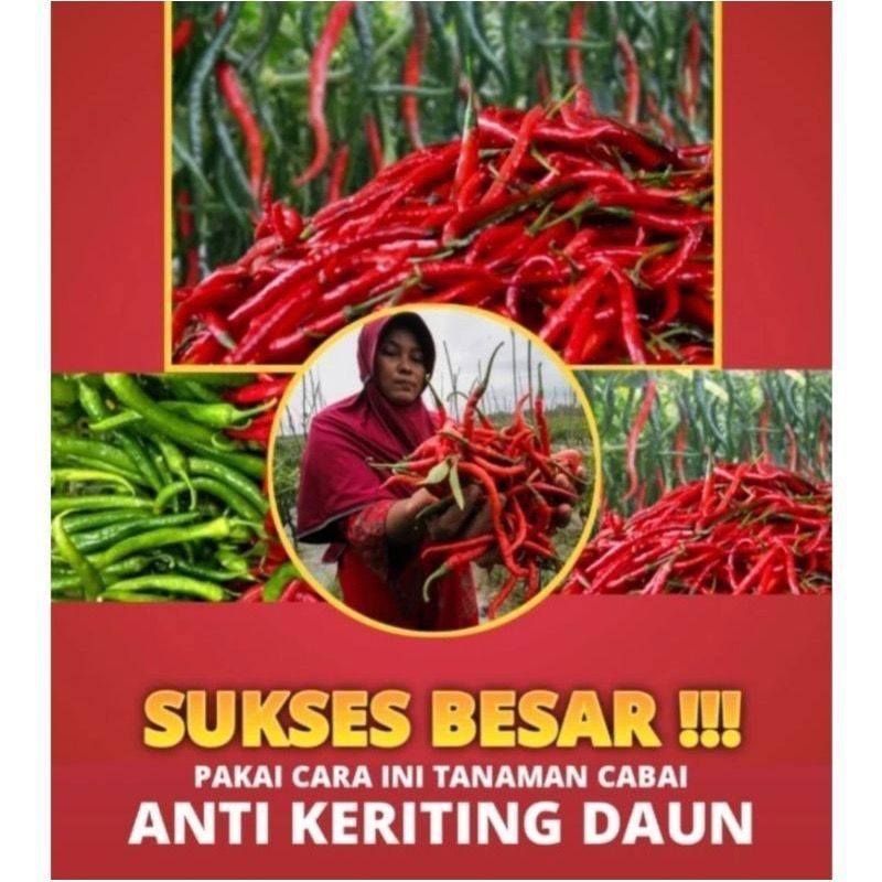 BEFERT - GRIN PASS 100ml obat hama dan anti kriting daun cabai