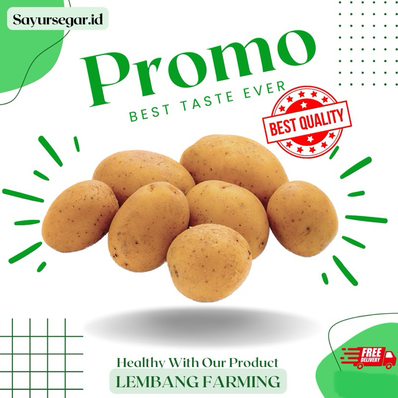 

PROMO!!! kentang lokal konvensional