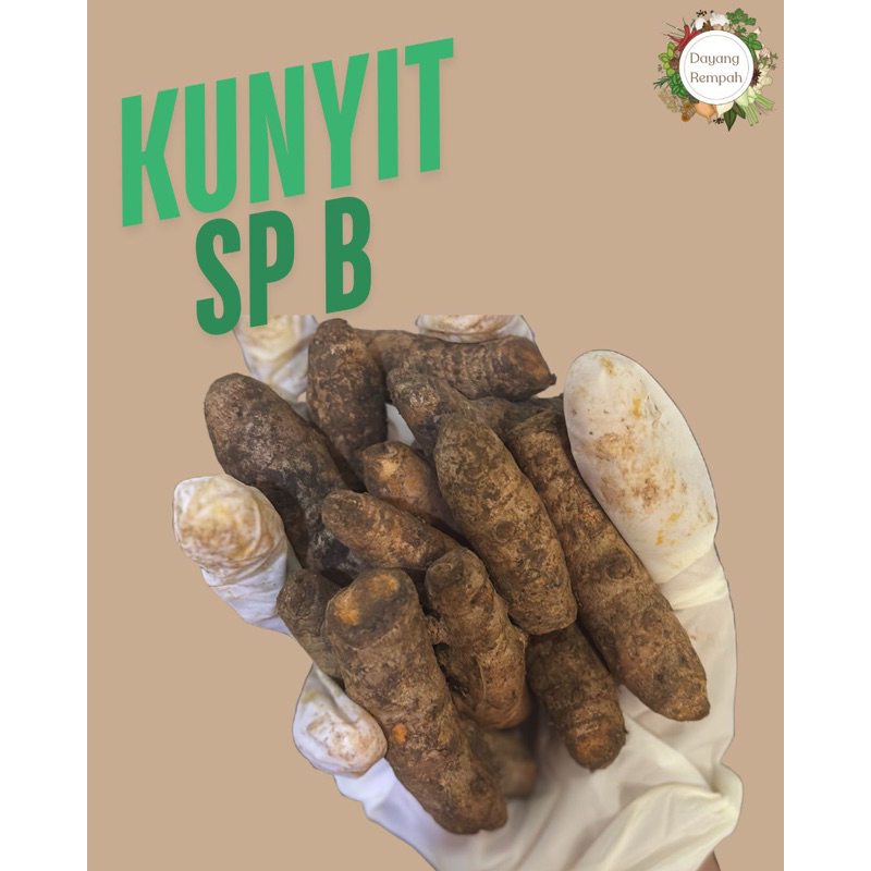 

Kunyit SP B 1 Kg