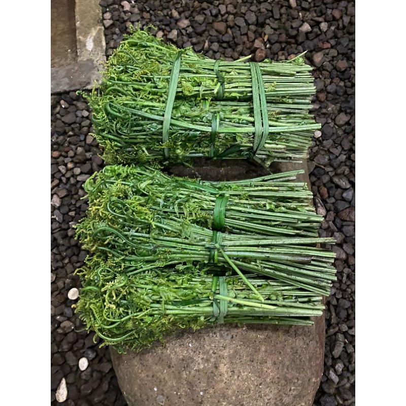 

Sayur Pakis Muda Fresh 500Gr
