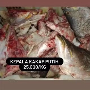 

Kepala Kakap Putih