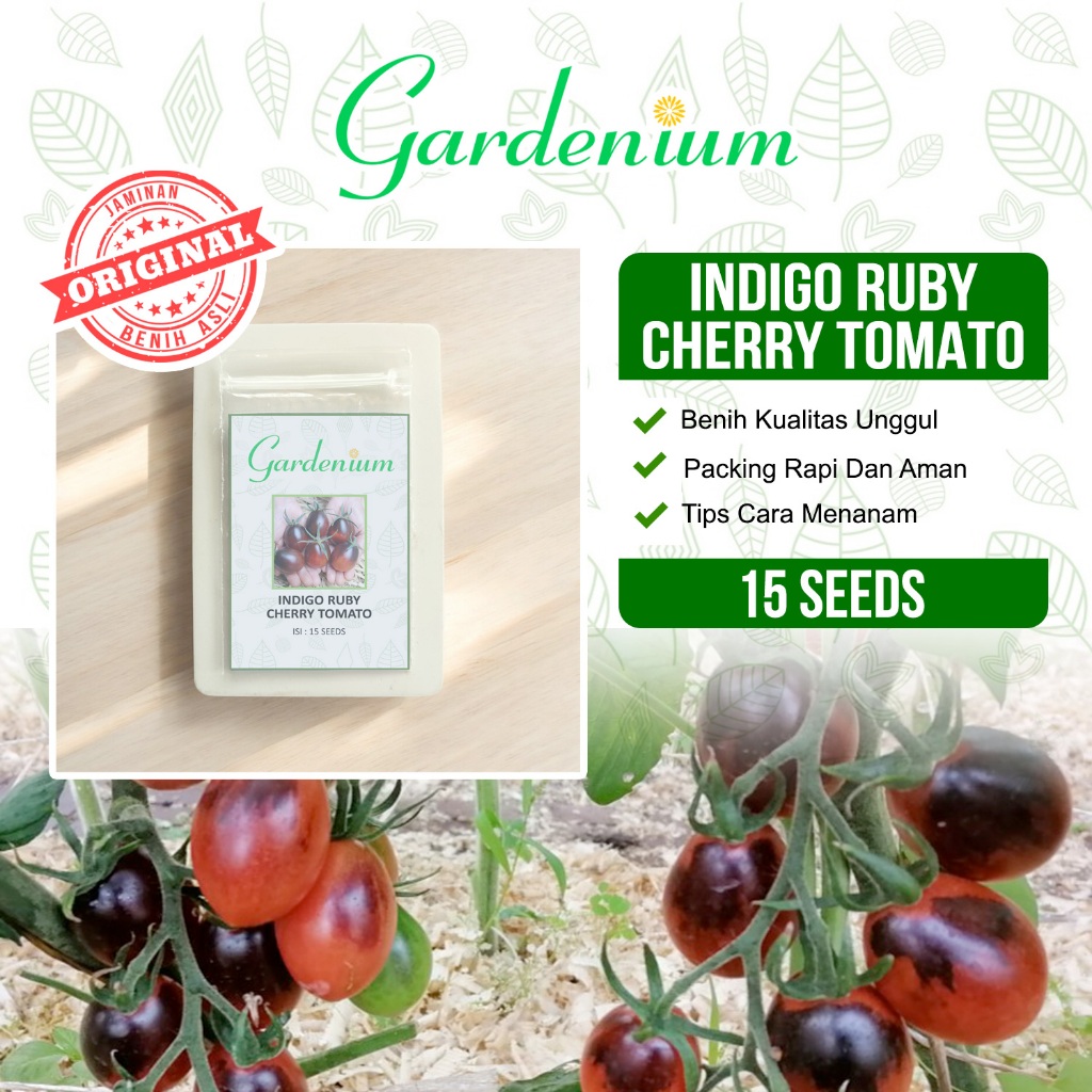 GARDENIUM Benih Tomat Indigo Ruby Cherry Tomato