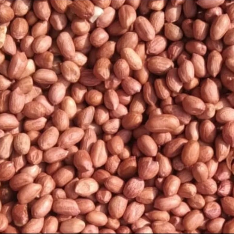 

KACANG TANAH/ Kacang Tanah Mentah/ Super Quality/ Repack 250gr 500gr 1kg