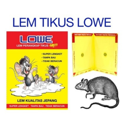 

LEM TIKUS PAPAN LOWE KIRIKO