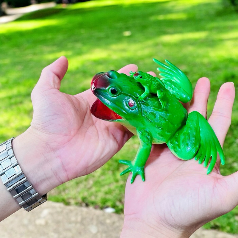 H393W Frog Mainan Anak Katak / kodok ditekan bisa bunyi cit Mainan edukasi animal replit