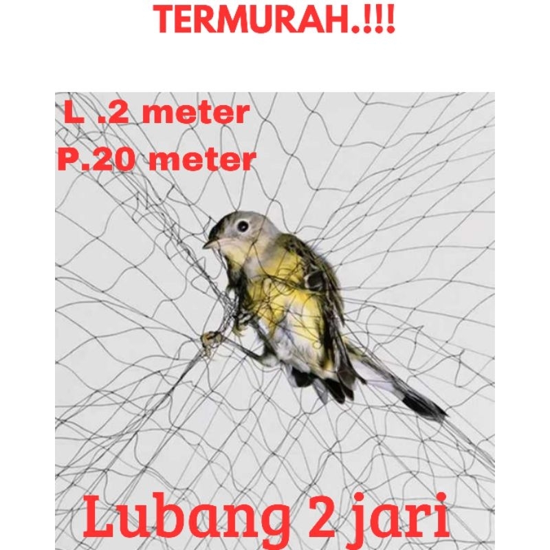 Jaring burung 0.12 panjang 20 meter lebar ±2 meter jaring burung kecil lubang 2 jari jaring burung p